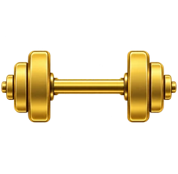 Fully Equipped Gym